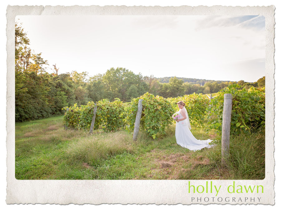 acres_wedding11