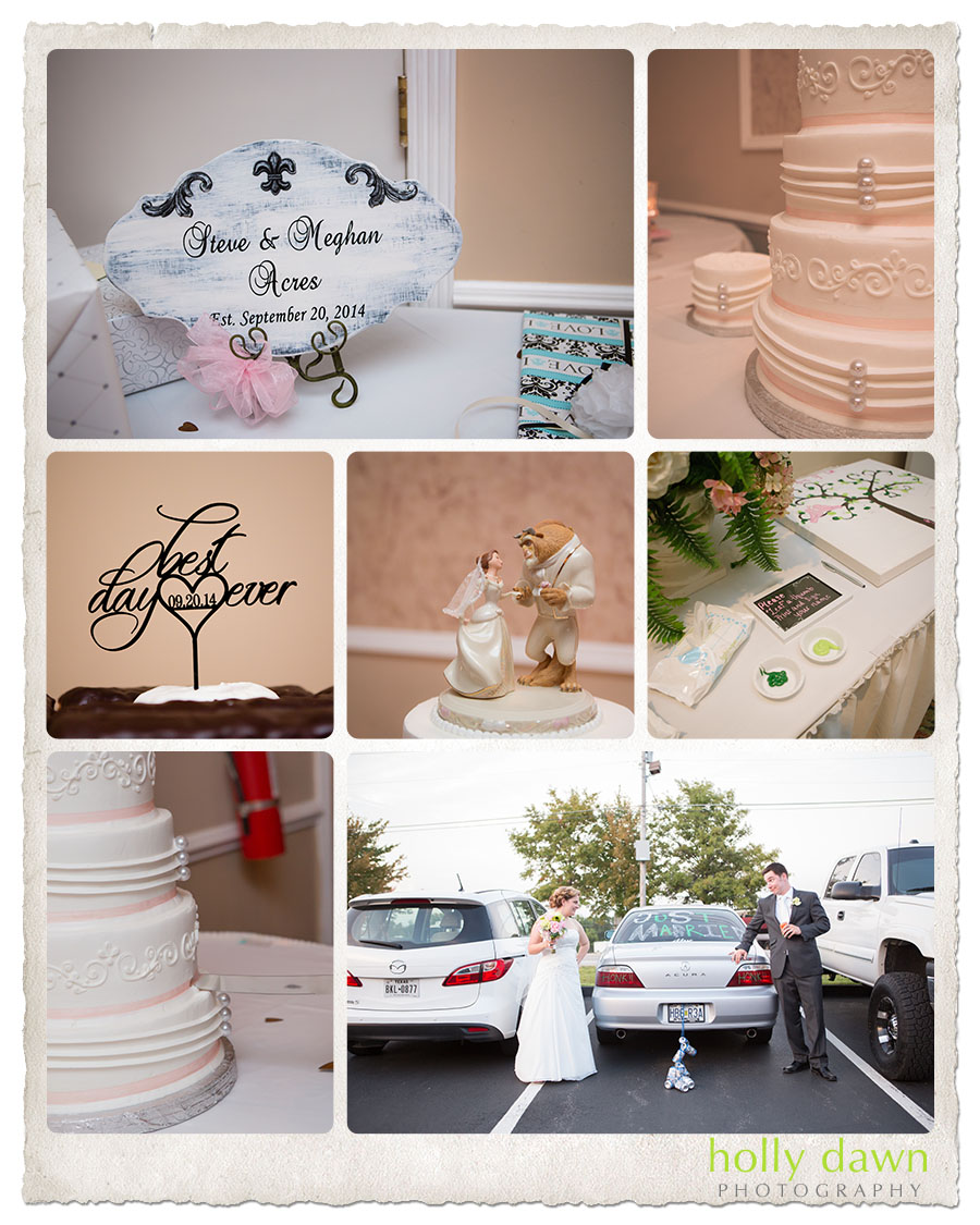 acres_wedding18